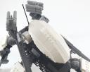 orca_17.jpg