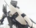 orca_18.jpg