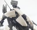 orca_19.jpg