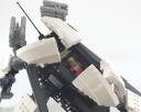 orca_20.jpg