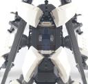 orca_22.jpg