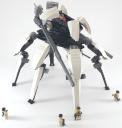 orca_24.jpg