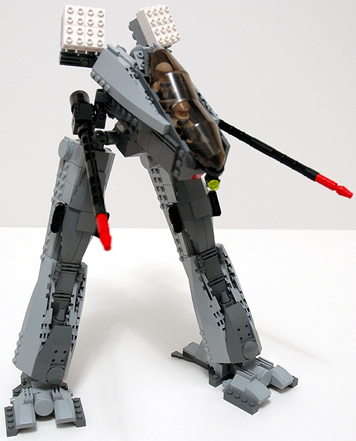 raven_01.jpg