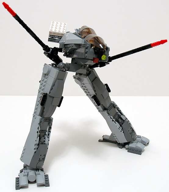 raven_06.jpg