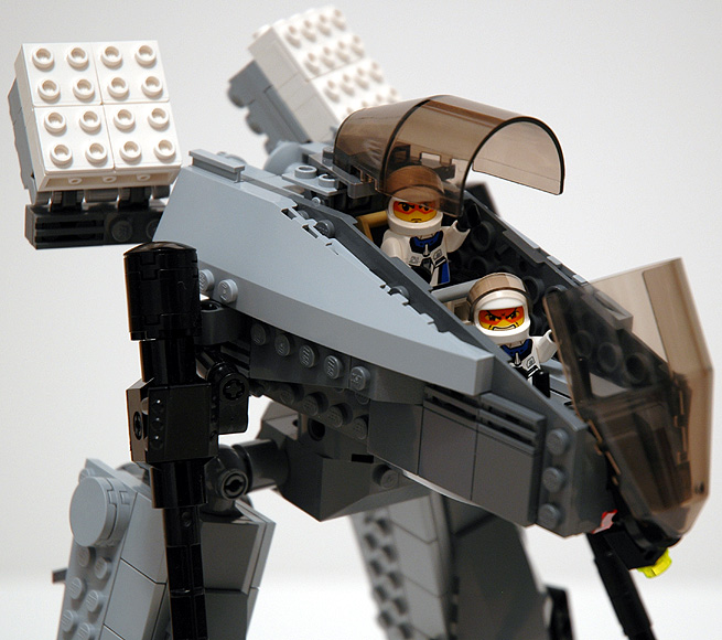 raven_08.jpg