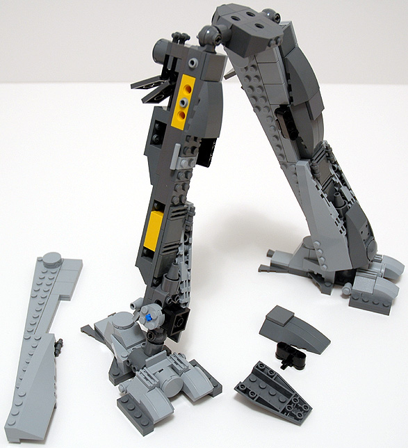 raven_09.jpg