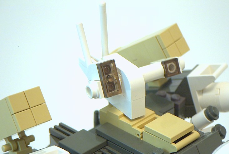 rhino_10.jpg