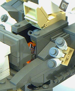 rhino_11.jpg