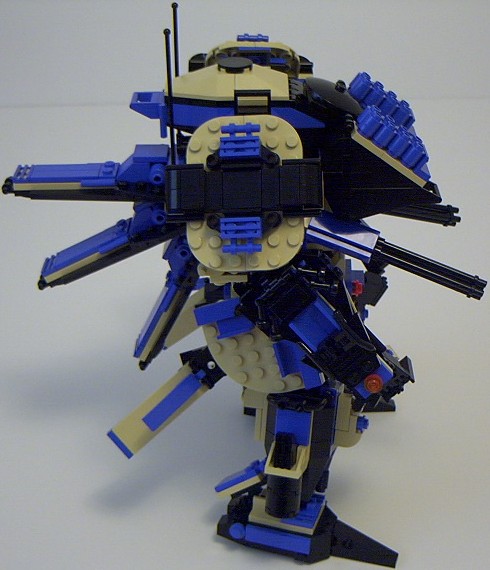 tortoise_04.jpg
