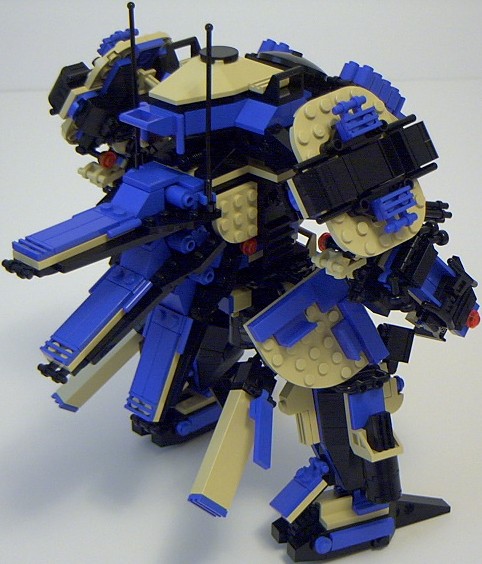 tortoise_05.jpg