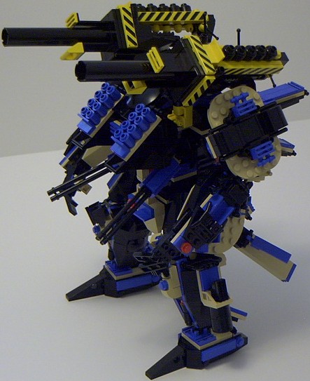 tortoise_12.jpg