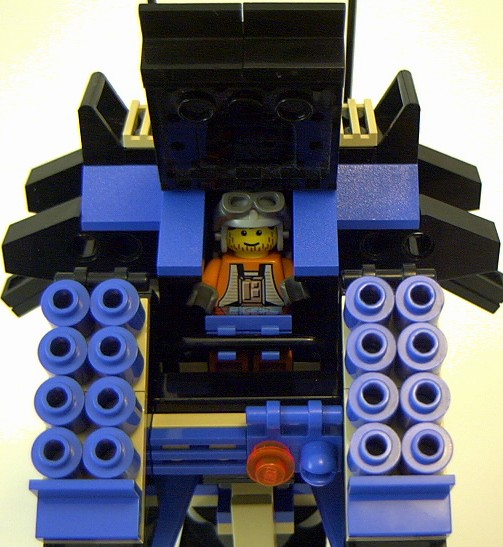 tortoise_19.jpg