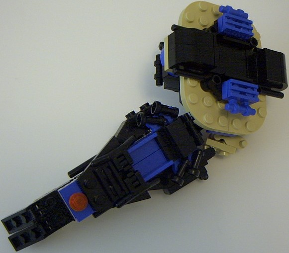 tortoise_21.jpg