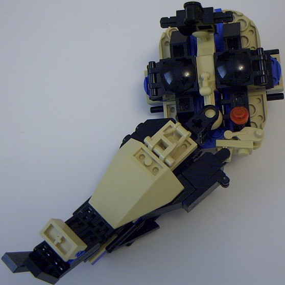 tortoise_22.jpg