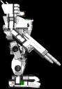 whitetiger_06.jpg