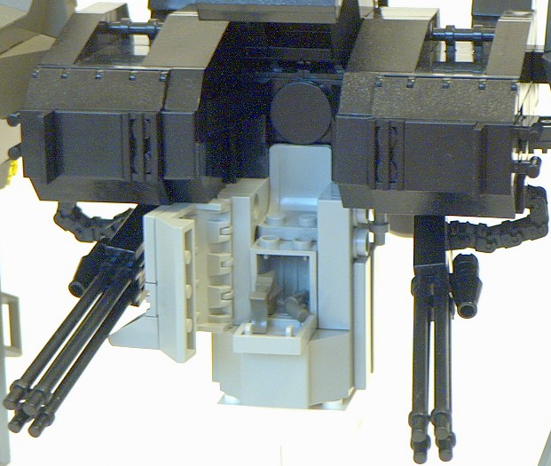 wolf_31.jpg