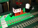 dscn2981.jpg