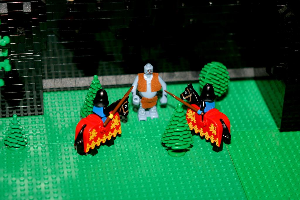 img_9519.jpg