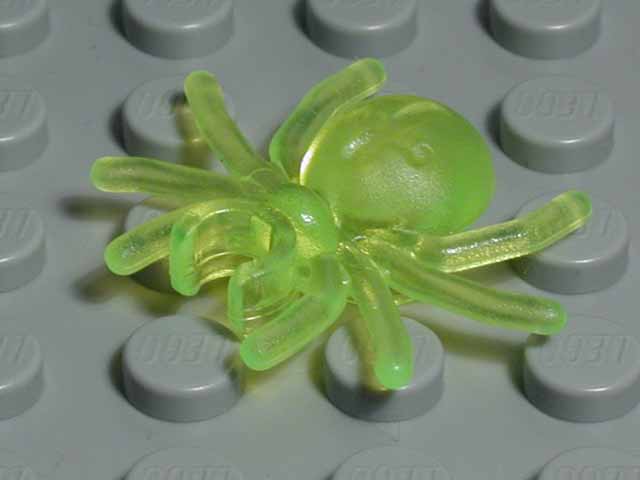 spider-transneon.jpg