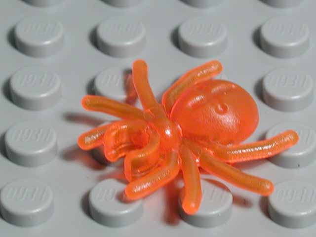 spider-transorange.jpg