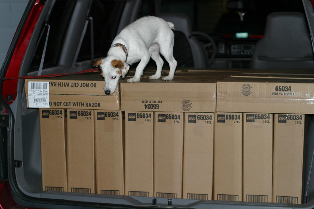03duckie_inspects.jpg