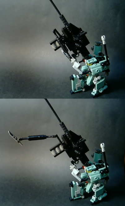 g007.jpg