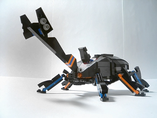 b6.jpg