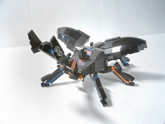 b9.jpg
