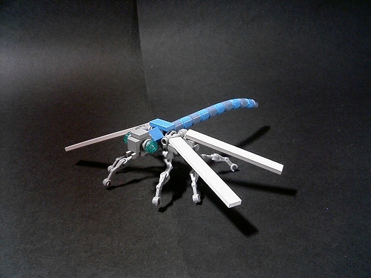 dragonfly005.jpg