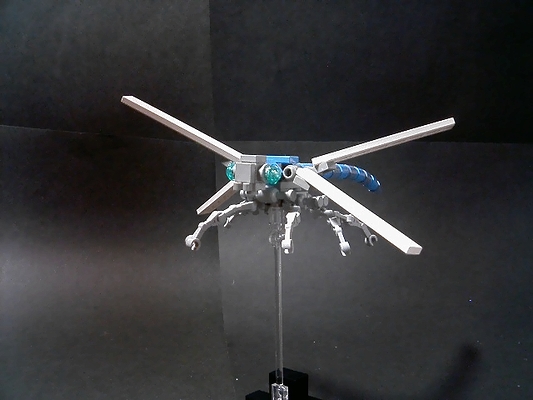 dragonfly006.jpg