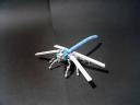 dragonfly002.jpg