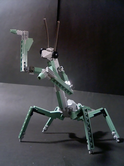 mantis009.jpg