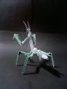 mantis003.jpg