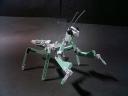 mantis008.jpg