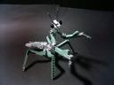 mantis010.jpg