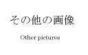 Other-pictures