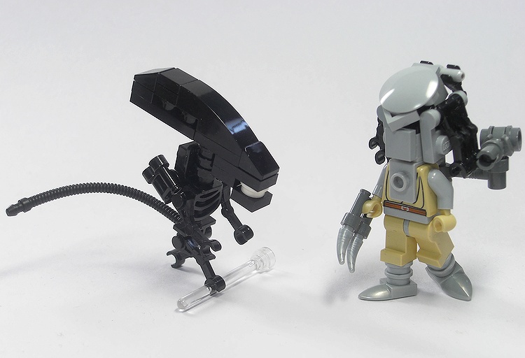avp.jpg