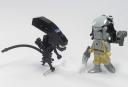 avp.jpg