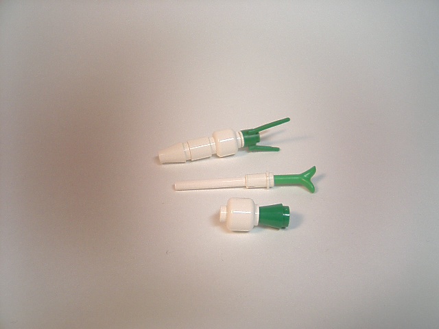 vegetables02.jpg