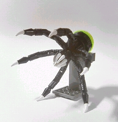 mudai06.jpg