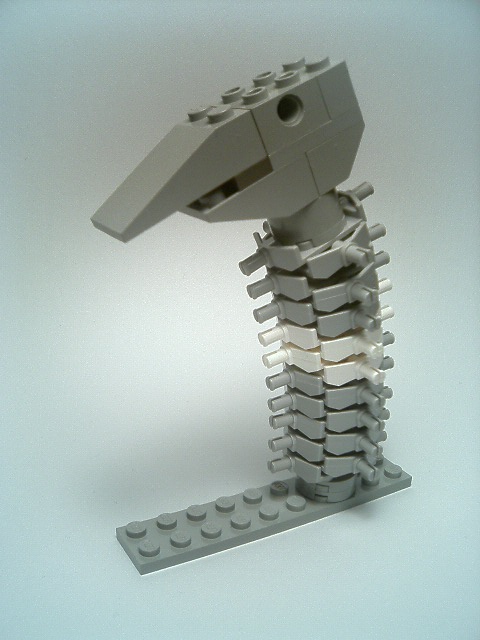 neck01.jpg