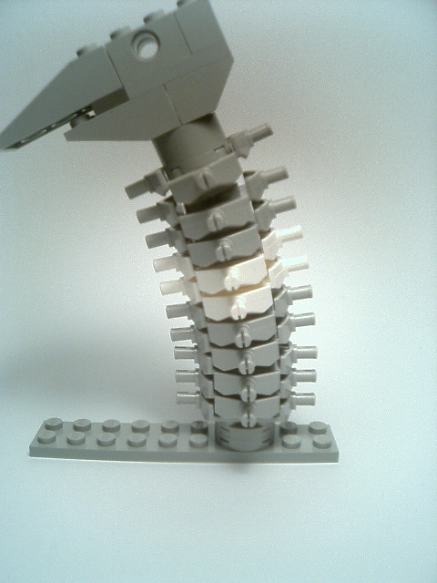 neck02.jpg
