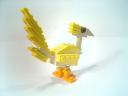 bird02.jpg