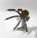 mudai06.jpg