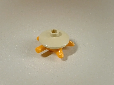 turtle.jpg