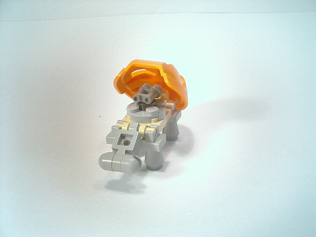 turtle2.jpg