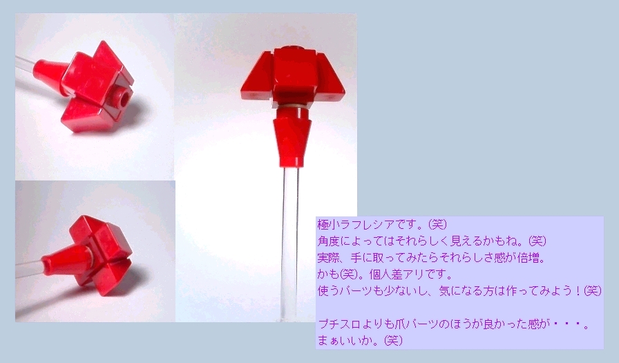 xma-01-6.jpg