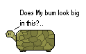 turtle..png