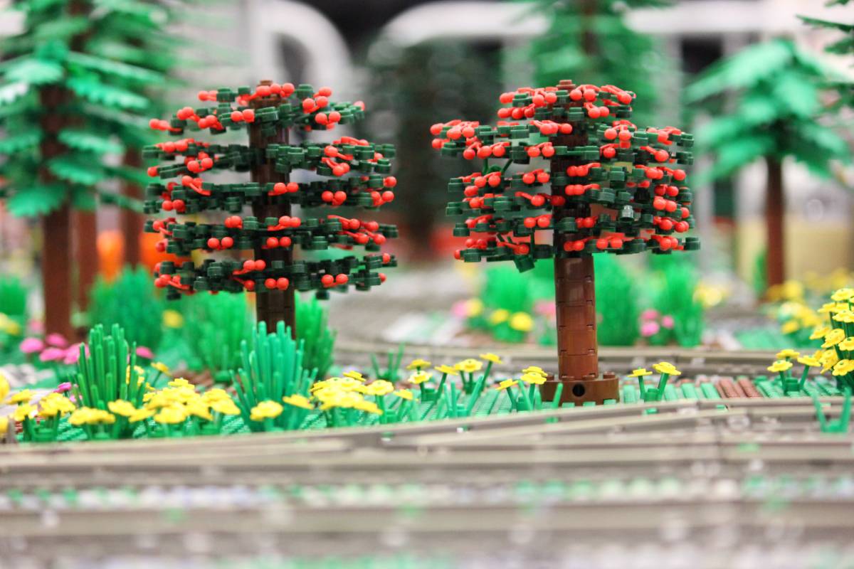 fruit_tree.jpg