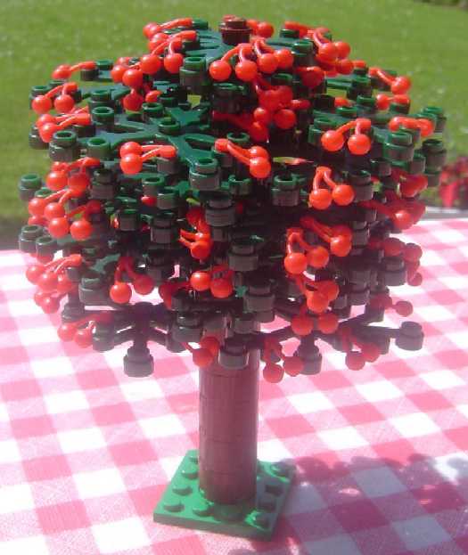 fruit_tree_cherry.jpg